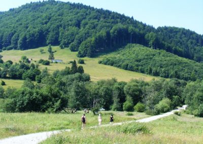 Transylvanian hills